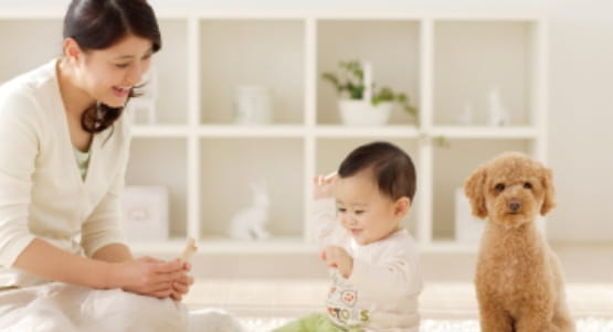 親子と飼い犬